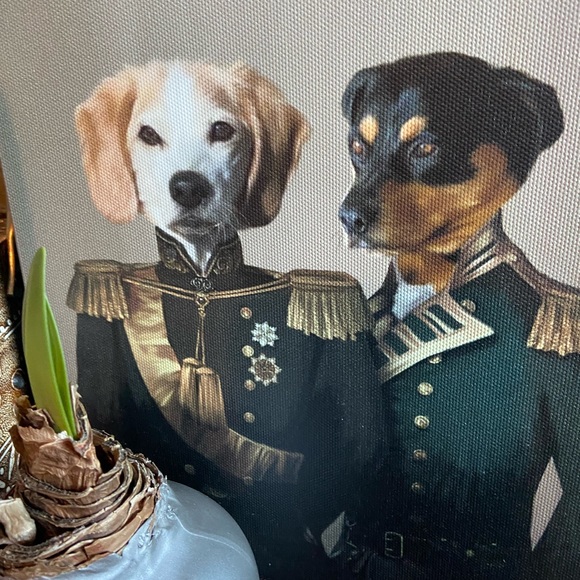 Meet your Posher, Jennifer - Picture 10 of 11